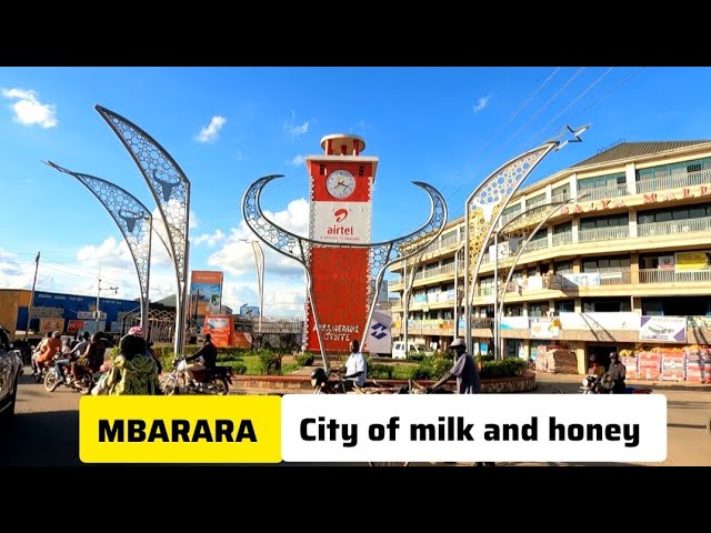 Creative person coding on Apple laptop